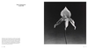 Bloom : Art, Flowers and Emotions