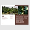 Magazine B: No.92 % ARABICA
