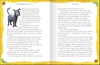 The Wonderful Wizard of Oz Illustrated Gift Book