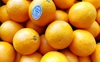 The Orange and other poems