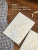 Aug’25 Notebook