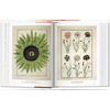 A Garden Eden: Masterpieces of Botanical Illustration