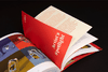 DRAWING ATTENTION: Custom Illustration Solutions for Brands Today