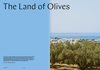 Magazine F: No.22 OLIVE