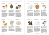 Magazine F: No.23 MUSHROOM