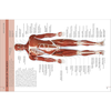 The Concise Human Body Book: An illustrated guide to its structure, function and disorders - Steve Parker