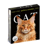 Cat Page-A-Day® Gallery Calendar 2026: A Delightful Gallery of Cats for Your Desktop - Workman Calendars