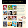 Cat Page-A-Day® Gallery Calendar 2026: A Delightful Gallery of Cats for Your Desktop - Workman Calendars