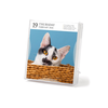 Cat Page-A-Day® Gallery Calendar 2026: A Delightful Gallery of Cats for Your Desktop - Workman Calendars