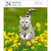 Cat Page-A-Day® Gallery Calendar 2026: A Delightful Gallery of Cats for Your Desktop - Workman Calendars
