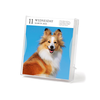 Dog Page-A-Day® Gallery Calendar 2026: An Elegant Canine Celebration - Workman Calendars