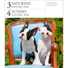 Dog Page-A-Day® Gallery Calendar 2026: An Elegant Canine Celebration - Workman Calendars