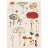 100 Writing and Crafting Papers of Mushrooms - PIE International