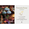 Fantastic Fungi: How Mushrooms Can Heal, Shift Consciousness, and Save the Planet - Paul Stamets