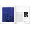 Yves Klein - Hannah Weitemeier