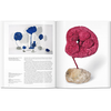 Yves Klein - Hannah Weitemeier