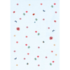 100 Papers with Classical Floral Patterns - PIE International