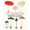 Mushroom Postcards - PIE International