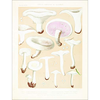 Mushroom Postcards - PIE International