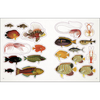 The Seashore Sticker Anthology - D.K. Publishing