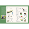 Keeping a Nature Journal: Deepen Your Connection with the Natural World All Around You - Clare Walker Leslie