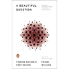 A Beautiful Question: Finding Nature's Deep Design - Frank Wilczek