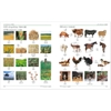 Mandarin Chinese English Bilingual Visual Dictionary
