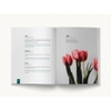 Beautiful Words: A Celebration for Word Lovers