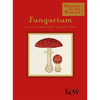 Fungarium - Ester Gaya