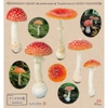 Photo Stickers Book of Mushrooms & Toadstools