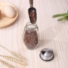 Bộ đựng gia vị thuỷ tinh 6 lọ xoay 360 độ cao cấp