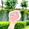 Hộp 50 viên giặt tiện lợi sắc hạ Topgia