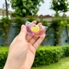 Hộp viên giặt nước hoa 3in1 Laundry Capsules cao cấp