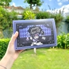 Set 6 mô hình nhân vật phim hoạt hình KUROMI đáng yêu
