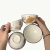 Hộp 10 cái chén sứ ăn cơm hoạ tiết dễ thương size 4.5