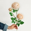Set 5 cành hoa hồng lụa 3 bông siêu đẹp