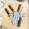 Dao bào Đa Sỹ Thép Không Gỉ Siêu Bén Cán Gỗ Size 17cm