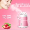 Máy xông mặt hoa quả tươi Magic Bullet