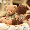 Gấu nhồi bông Teddy lông xù cao cấp