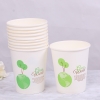 Set 50 cốc giấy Paper Cup 250ml chịu nhiệt sử dụng 1 lần