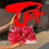 Set trang trí Tết vải nhung đỏ may mắn