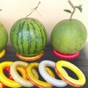 Set 3 đế lót chưng dưa ngày Tết size 12.5,15,17cm