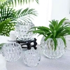 Bộ 2 chậu thuỷ tinh chấm bi để bàn trang trí decor LX8009