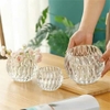 Bộ 2 chậu thuỷ tinh chấm bi để bàn trang trí decor LX8009