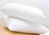 Cặp ruột gối nằm bông gòn Đông Xuyên Á cao cấp