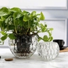 Bộ 2 chậu thuỷ tinh chấm bi để bàn trang trí decor LX8009