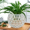 Bộ 2 chậu thuỷ tinh chấm bi để bàn trang trí decor LX8009