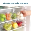 Set 3 cuộn túi đựng thực phẩm tự phân hủy sinh học