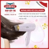 Máy sấy tóc gấp gọn Ladomax HA-6116 tiện dụng