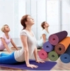 Thảm tập Yoga 2 lớp TPE cao cấp CÓ TÚI